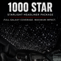 1000 Star Starlight Headliner Package